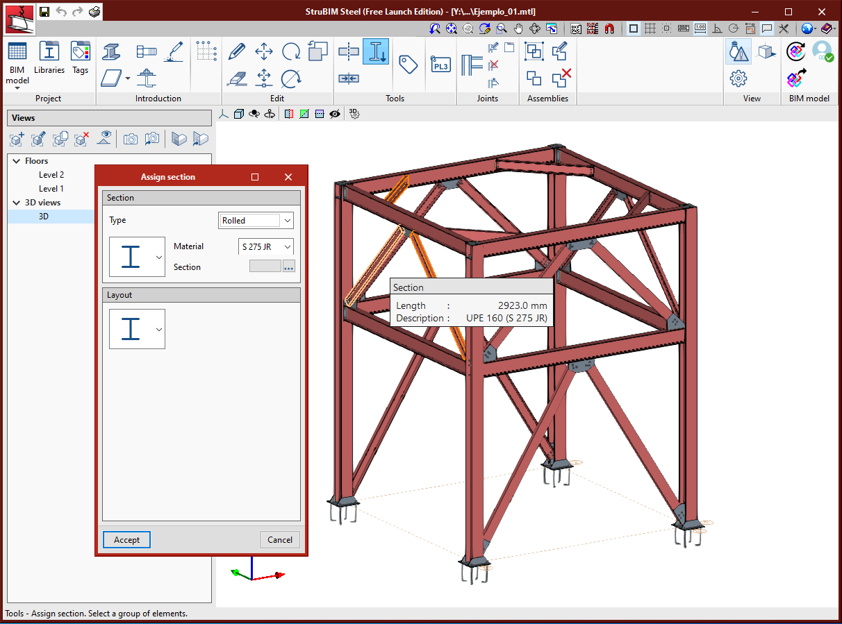 StruBIM Steel. Assign section